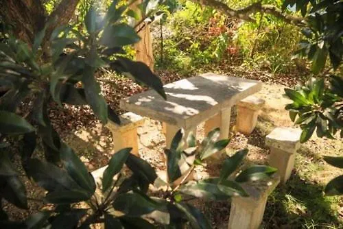 Kokojo Villa Black River Privatunterkunft
